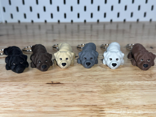 Labrador Bundle, 6 Flexi Keychains