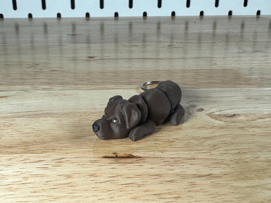 Chocolate Labrador, Flexi Keychain