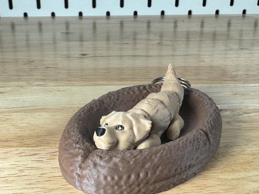 Golden Retriever, Flexi Keychain