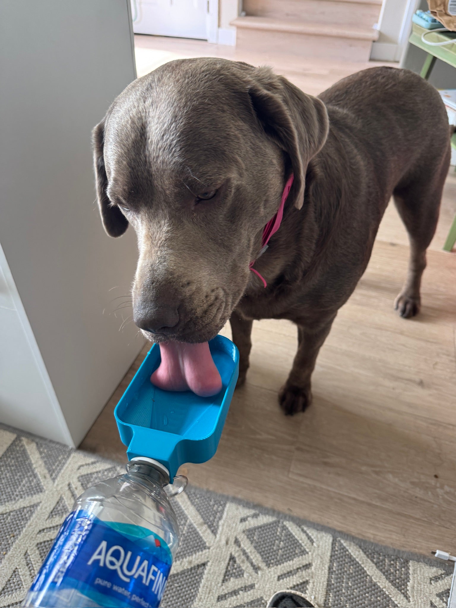 Pet Waterer