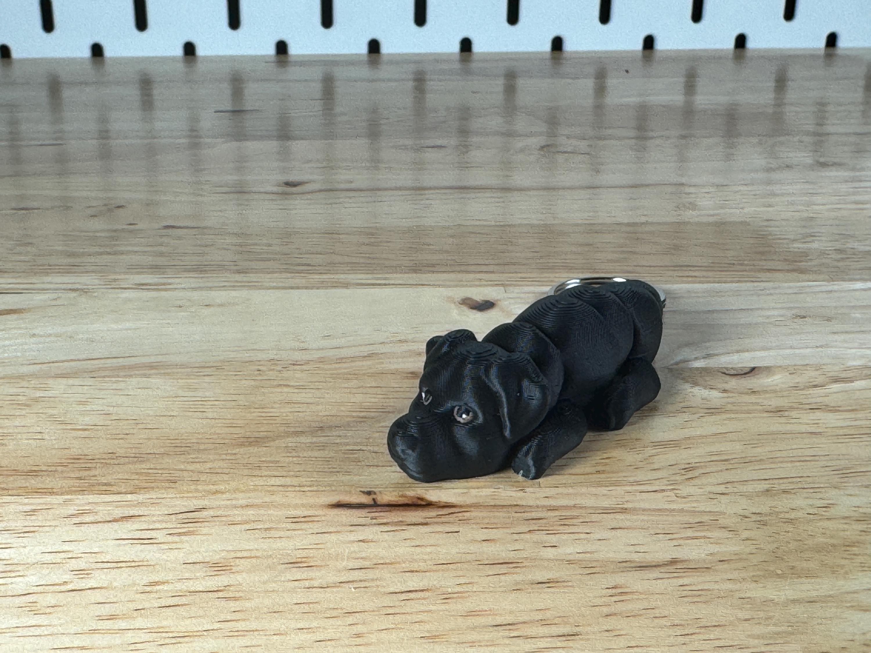 Black Labrador, Flexi Keychain