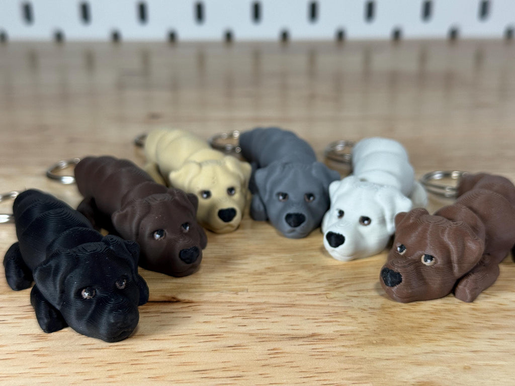 Labrador Bundle, 6 Flexi Keychains