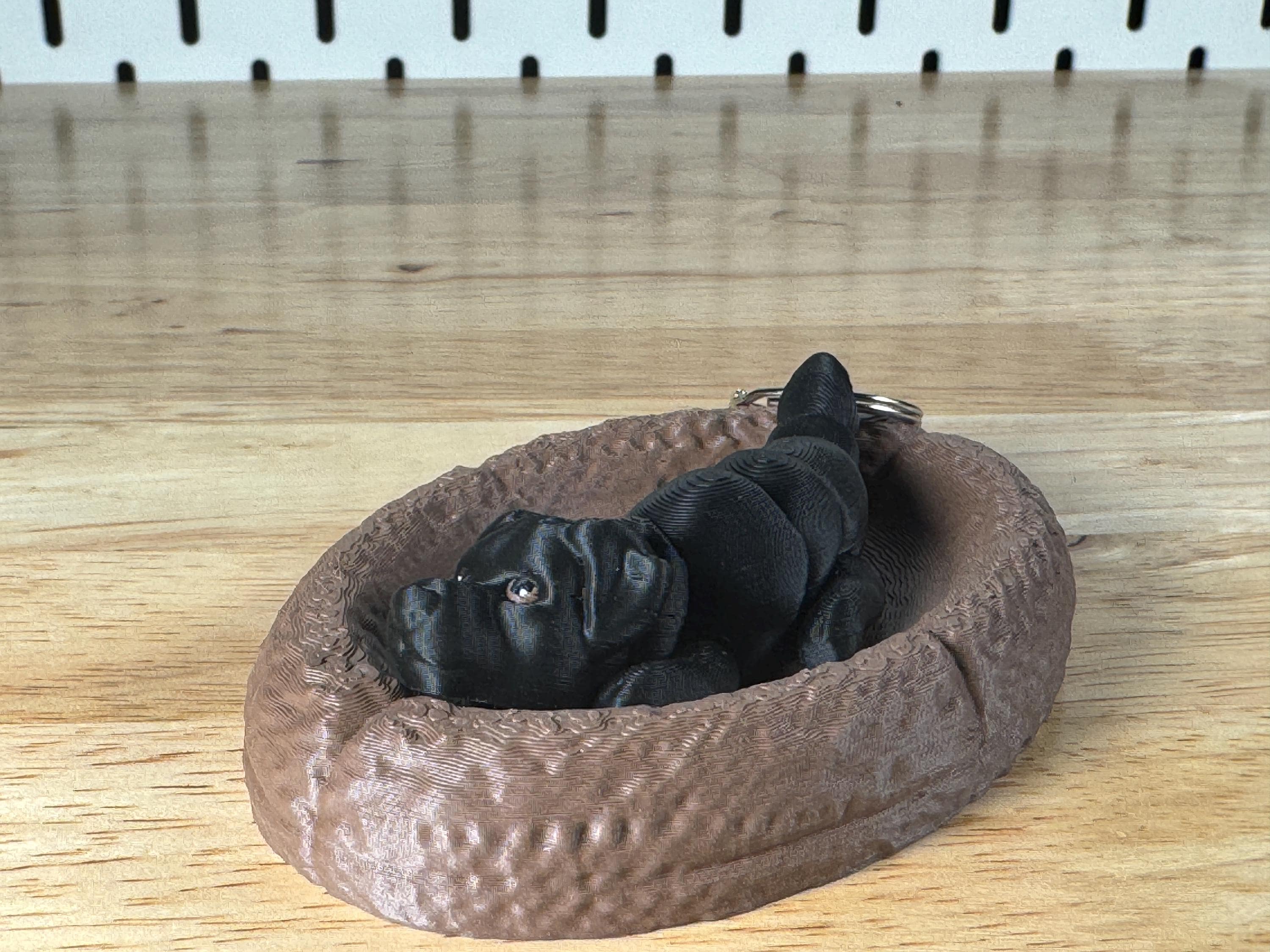 Black Labrador, Flexi Keychain