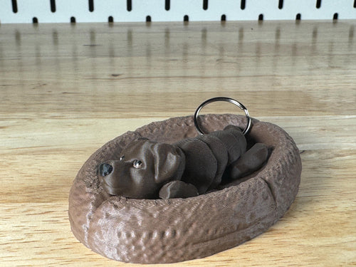 Chocolate Labrador, Flexi Keychain