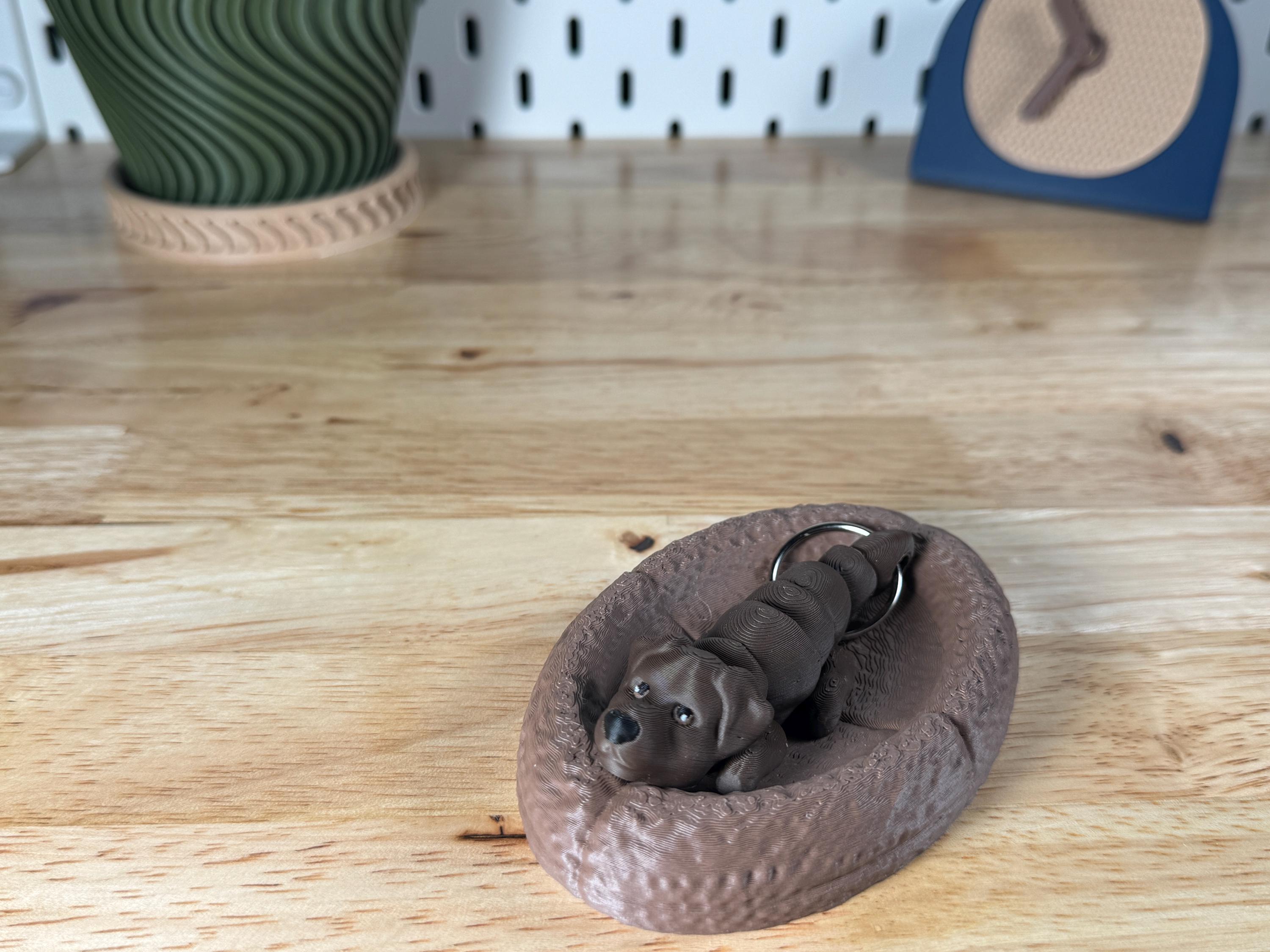 Chocolate Labrador, Flexi Keychain