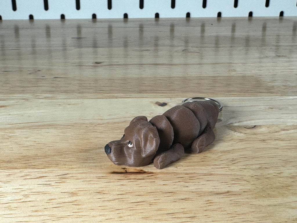 Chocolate Labrador, Flexi Keychain