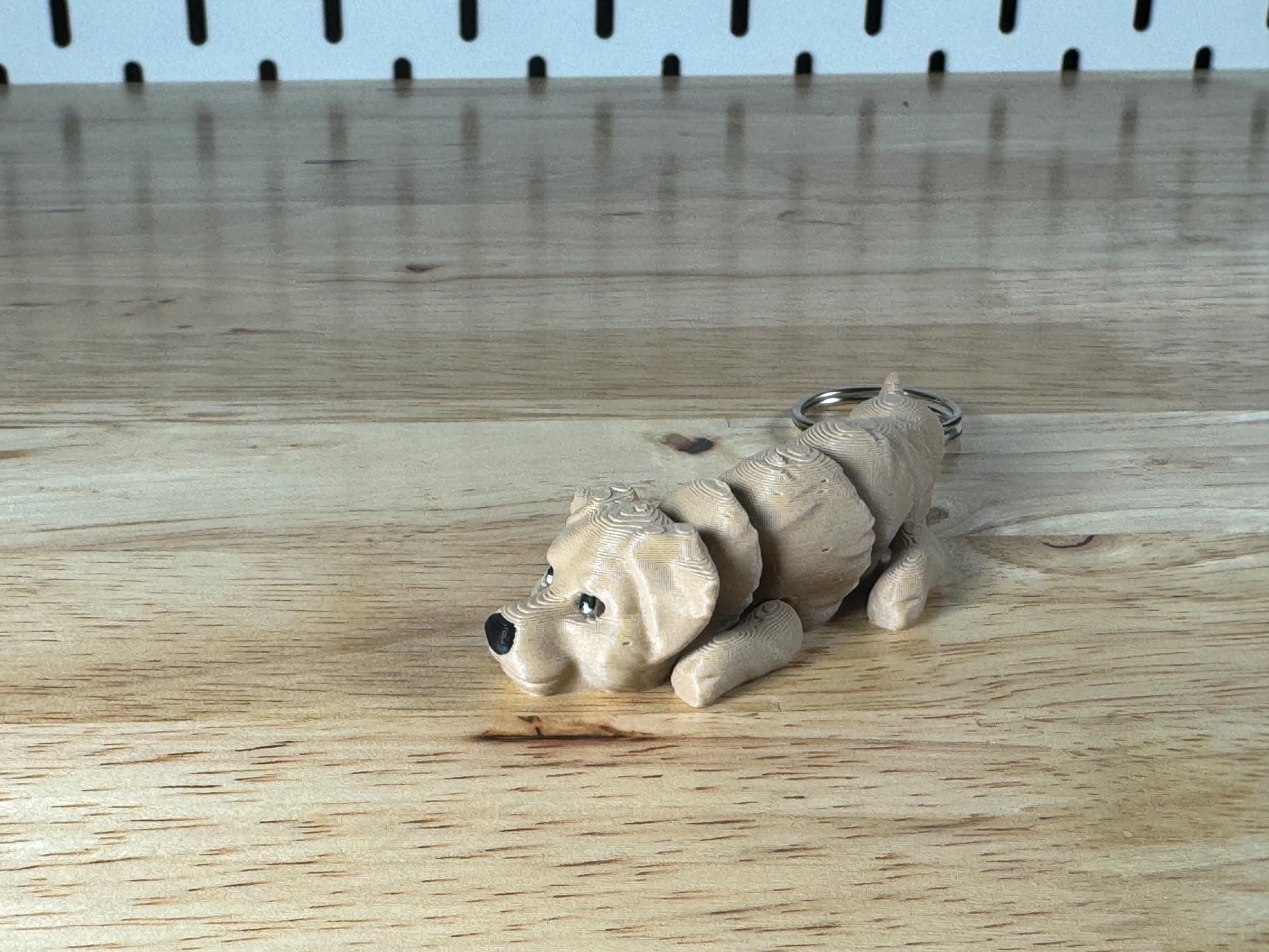 Golden Retriever, Flexi Keychain